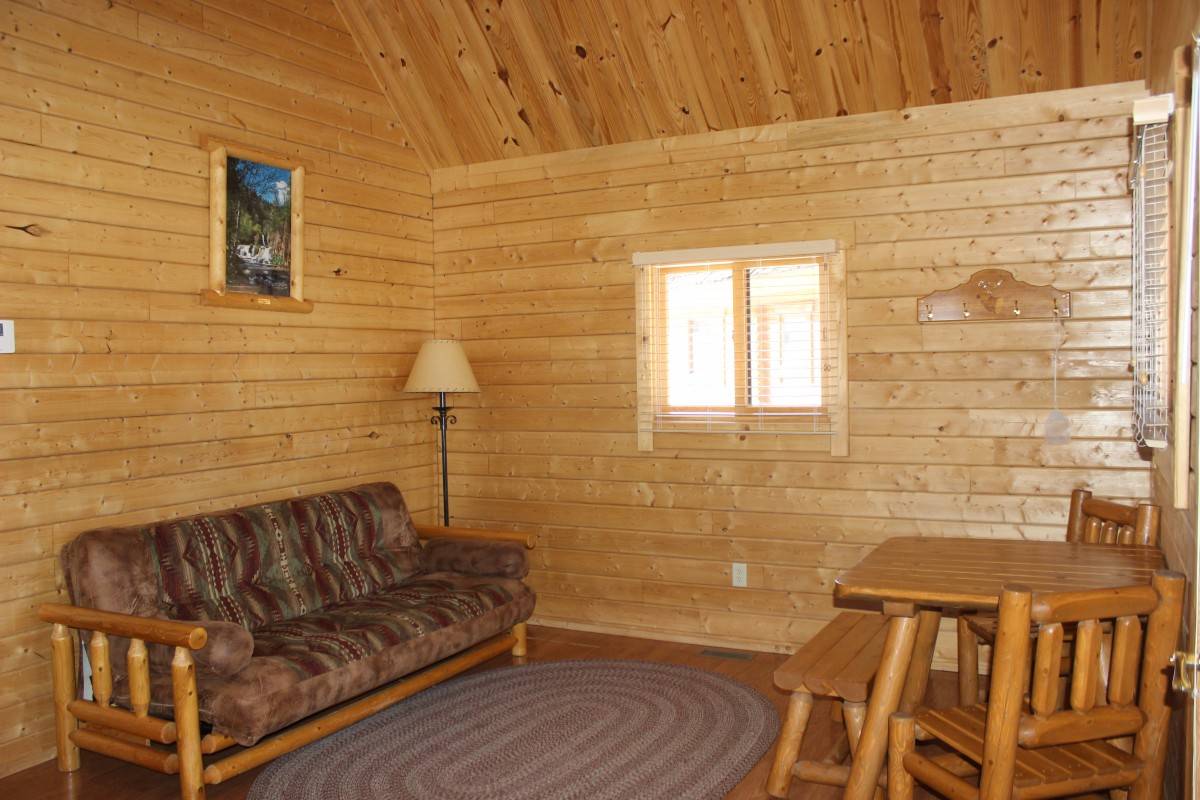 Elkhorn Ridge large cabin living room with pull out futon 
