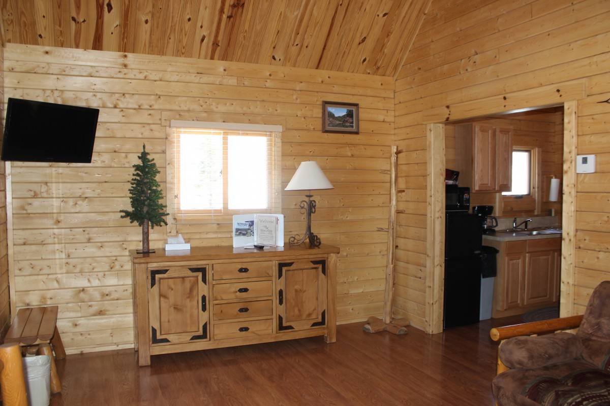 Elkhorn Ridge large cabin TV living area