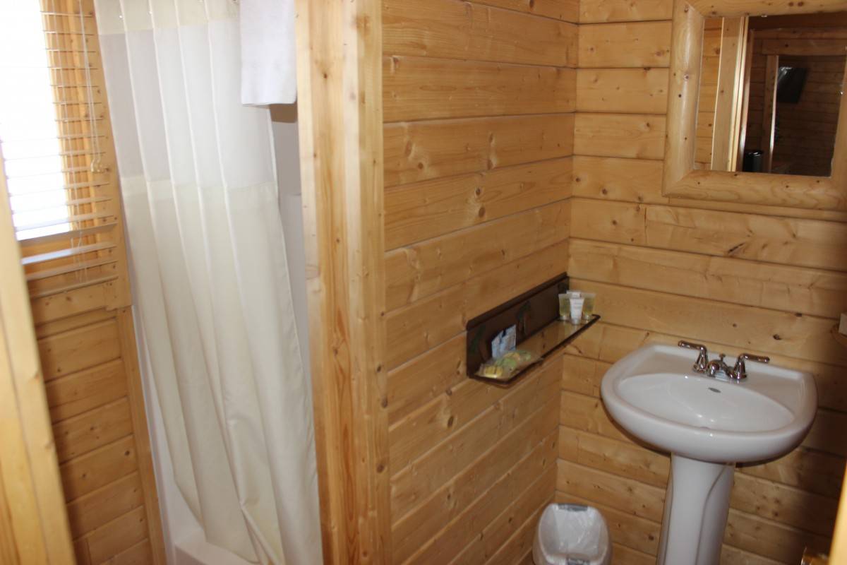 Elkhorn Ridge large cabin bathroom with shower, sink, toilet