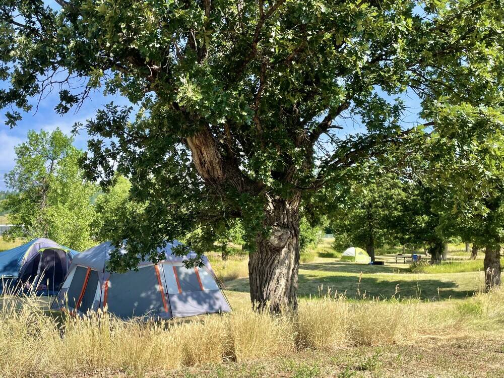 tents