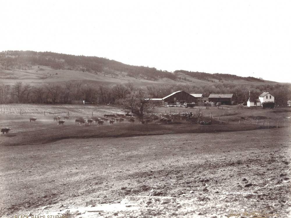 Lower Ranch on the Frawley Ranch