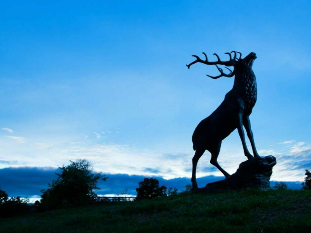 Elk statue during sunset at Elkhorn Ridge Resort 