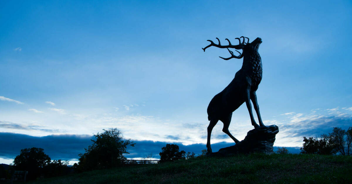 Terms of Service | ELKHORN RIDGE RESORT